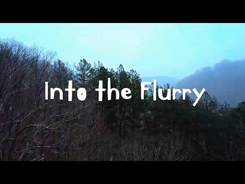 Into the Flurry 