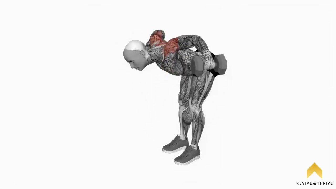 Dumbbell Rear Lateral Raise