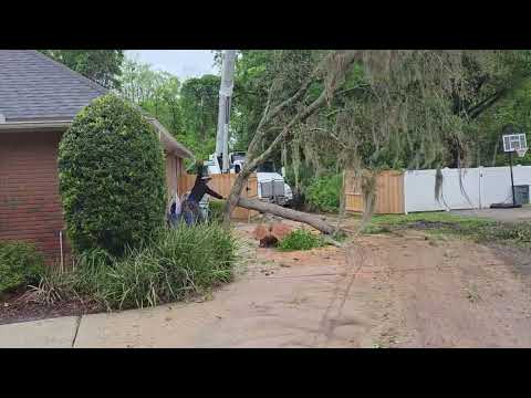 Debris Removal & Tree Removal