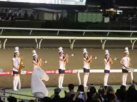 2016年の帝王賞のファンファーレ