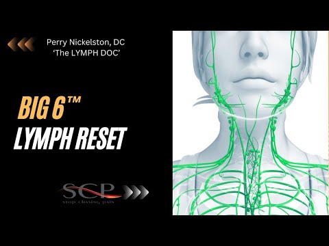 Big 6 Lymph Reset