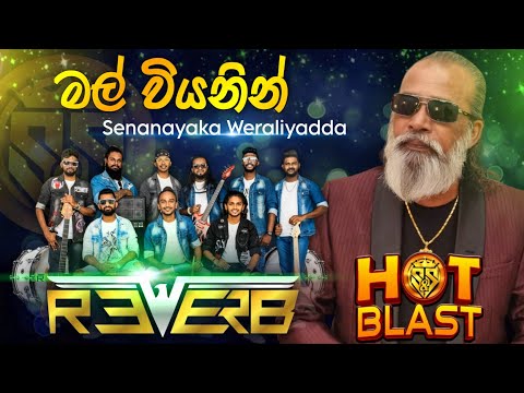 Mal Wiyanin | Senanayaka weraliyadda with Reverb live band | S&S Hot Blast