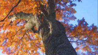 Jo Stafford - Autumn Leaves