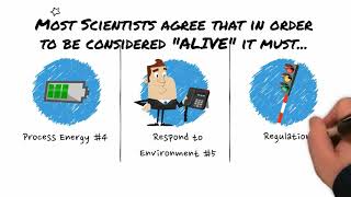 What are the characteristics of life? Biology criteria for living organisms