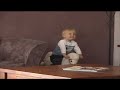 Funny Horses AFV