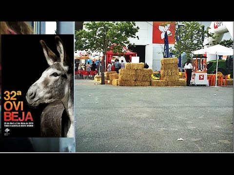 Viagem de comboio @ 32ª Ovibeja 2015