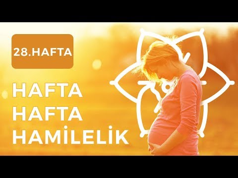Gebelikte 28.Hafta | Hafta Hafta Hamilelik - Şebboy.com - Op.Dr. Cevahir Tekcan