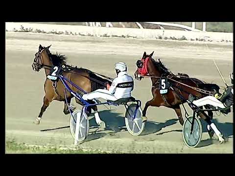 Napoli Trotto 18/01/2022 - 4ª corsa