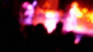 the bled - starving artiste