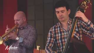 Firebird Quartet - 'Spy Boy, Flag Boy' | MusoChannel#36