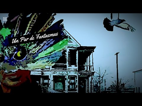 Intro + Un Par de Fantasmas - LFDAA (La Plata 07/12/2025) - Pajaritos en Vivo