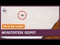 REPO: De monsterteek is gespot!