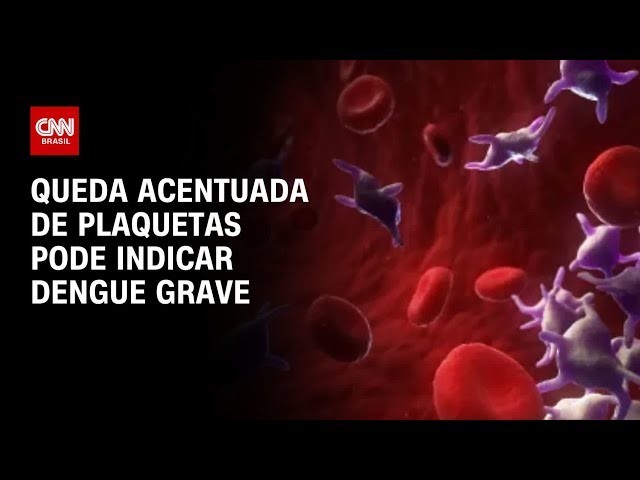 PLAQUETAS BAIXAS COMO AUMENTAR, PRINCIPAIS CAUSAS E MUITO MAIS ...