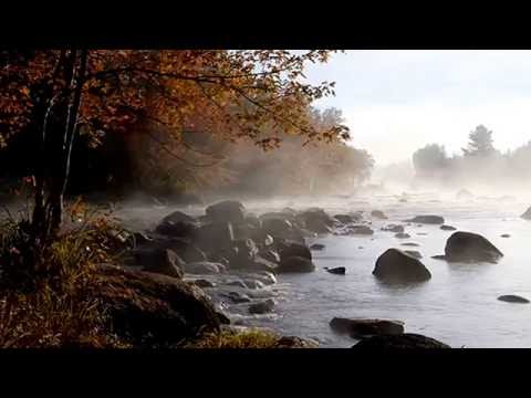 Savoy - Adio pica frunza !