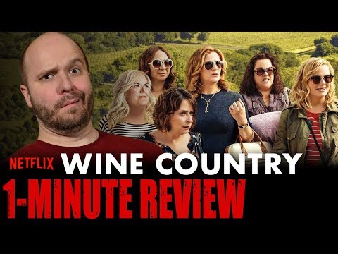WINE COUNTRY (2019) - Netflix Original Movie - One Minute Movie Review