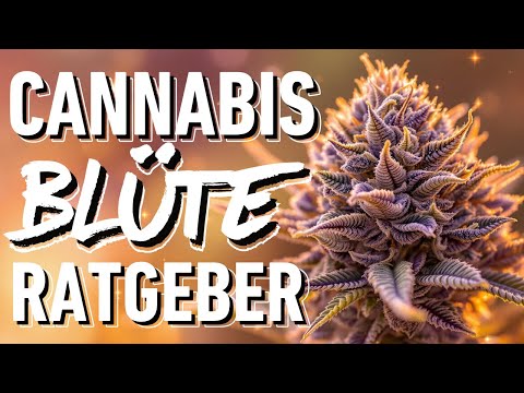 🪴 Is my cannabis flowering? Everything you need to know about the flowering phase of cannabis – w...