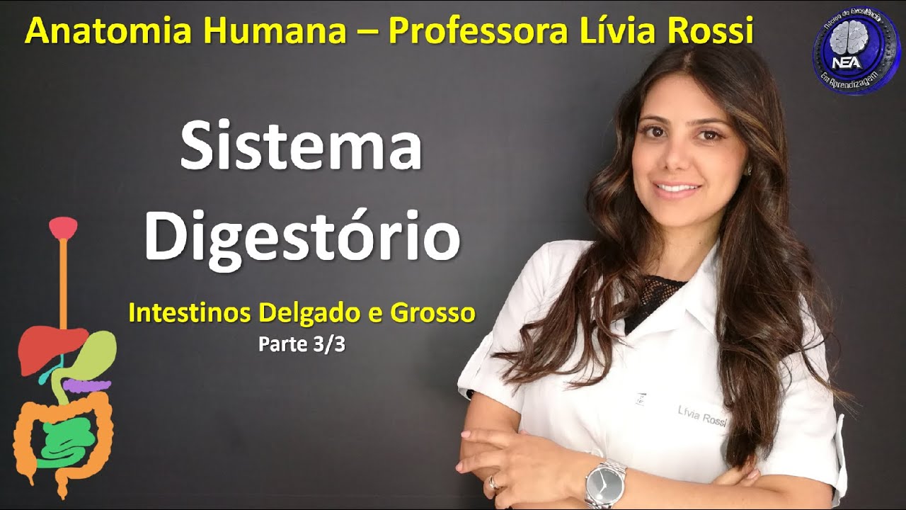 Anatomia Humana - Sistema Digestório - Intestino Delgado e Grosso (Parte 3/3)
