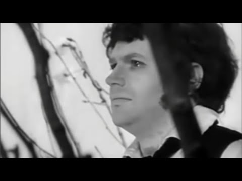 Great tenor Konstanin Pluzhnikov sings "E la solita storia"