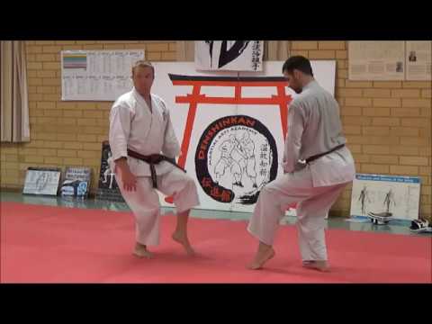 3 applications for Neko Ashi Dachi