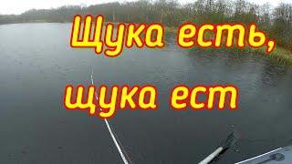 Ловля щуки.в мае