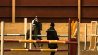 Video koně Peek a Boo