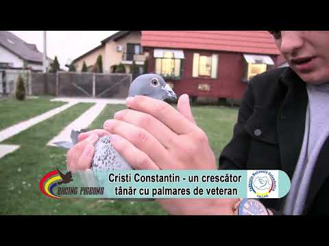 Cristi Constantin - a young breeder with a veteran track record