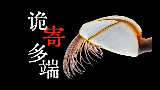 [問卦] 所以老高算是說片人不是說書人吧？