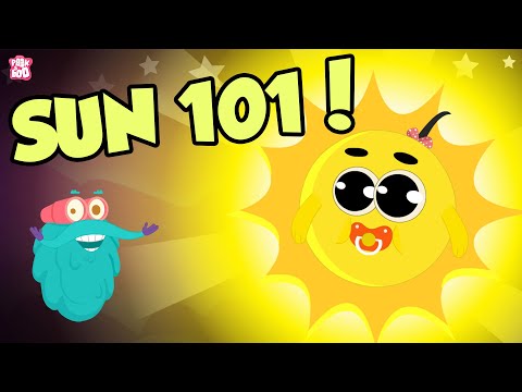 Sun 101 | All About The Sun | The Dr Binocs Show | Peekaboo Kidz