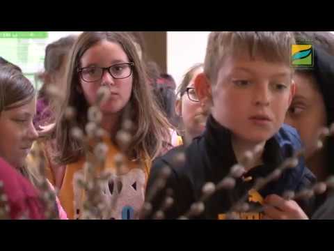 Ős-Dráva Látogatóközpont