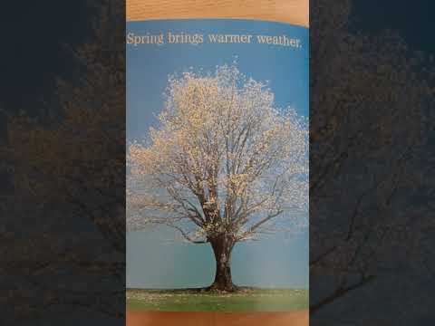 A Tree for all Seasons read aloud with Mrs. Murray