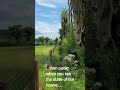 POV When Buying A 200 Year Old Derelict Farm In Ireland Offgrid Derelict Renovation