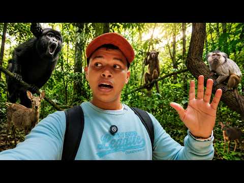 Visité un BOSQUE SECO en el ATLANTICO | Luriza