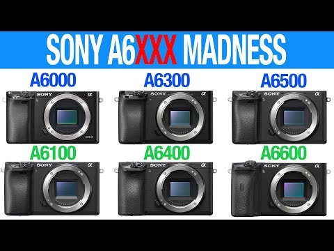 Which SONY A60000, A6100, A6300, A64000, A6500, A6600 to get in 2019 ?!!!
