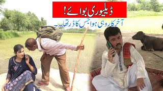 Delivery Boy || Numberdaar /Helmet/Rocket || New Top Funny |   Punjabi Comedy Video 2023 | Chal TV