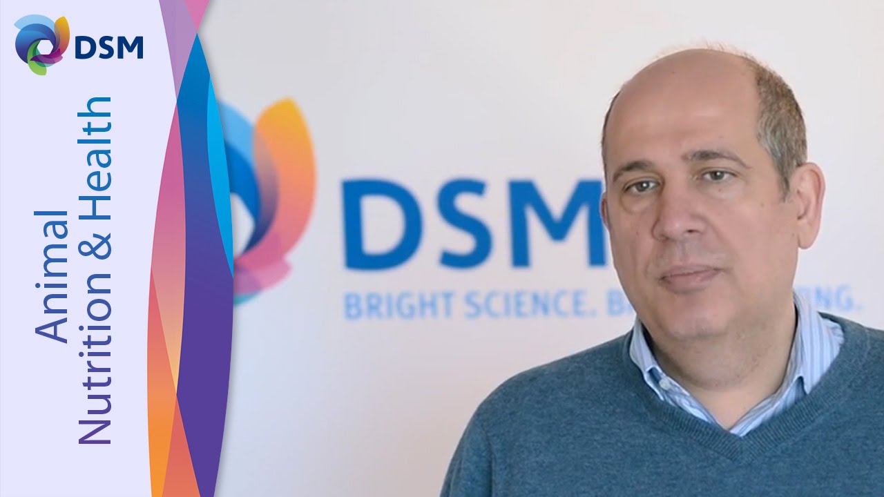 Ilias Kyriazakis On The Importance Of Enzymes