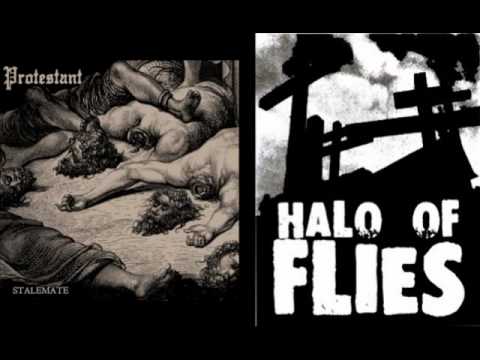 February 13, 2012 Protestant and Halo of Flies Records Interview