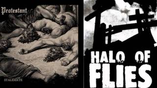 February 13, 2012 Protestant and Halo of Flies Records Interview