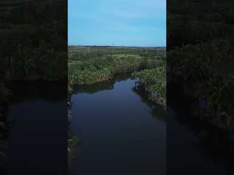 Fazenda à venda Miracema #fazendaavenda #tocantins