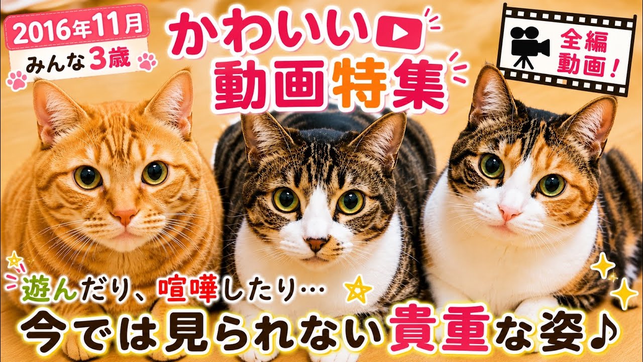 YouTubeサムネイル