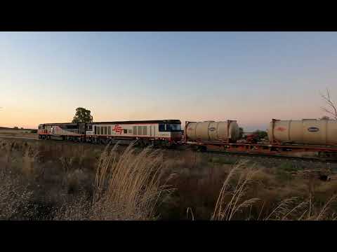 SCT007 & CSR013 Gunningbland West NSW.  Wed 29th Mar 2023