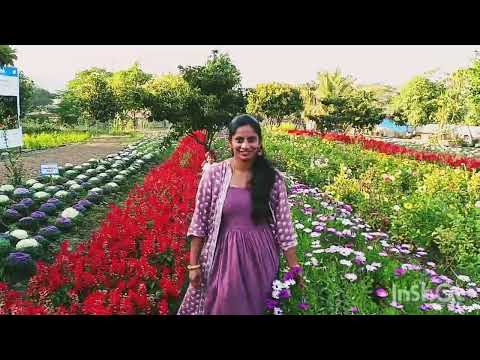 Nashik flower park #flowerpark #nashik #waterpark
