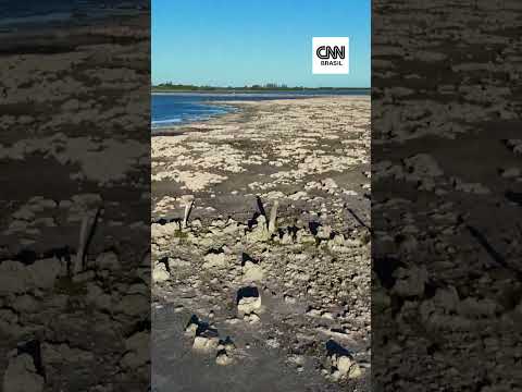 IMAGENS: Lagoa no RJ impressiona com estruturas formadas por microrganismos há bilhões de anos