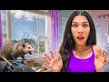 We FOUND A HUGE Opossum In Our HOUSE Shocking