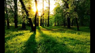 The Light Will Come by Phil Wickham (Lyrics)