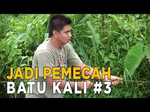 Bekerja mengurus sapi-sapi milik tetangga | JIKA AKU MENJADI