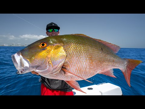 SECRETS Revealed to catch GIANT snapper! Catch Clean Cook