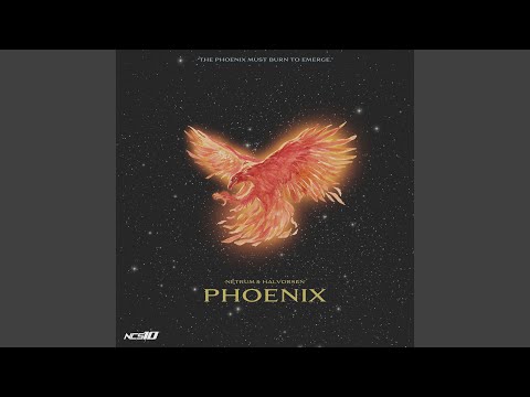 Netrum,Halvorsen - Phoenix cover