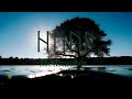 Starke Technik Für Anfänger Und Fortgeschrittene I Ritual Meditation 02