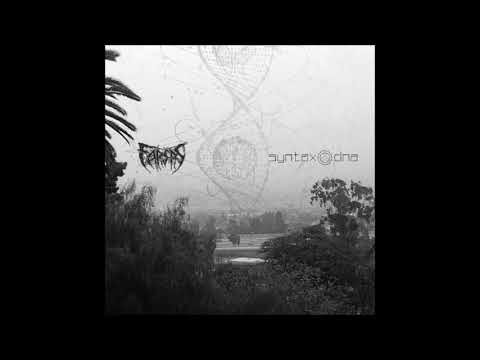 Faršas - Tikrumo Dovana