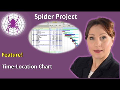 Spider Project Feature - Time Location Chart